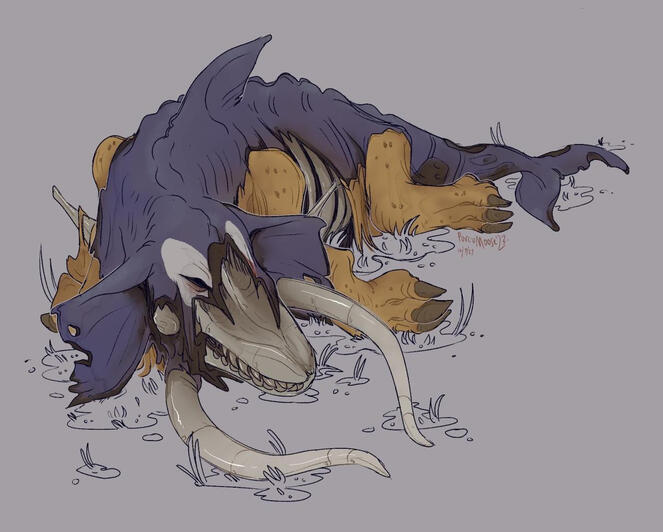 Day 11: Decomposition / Insects