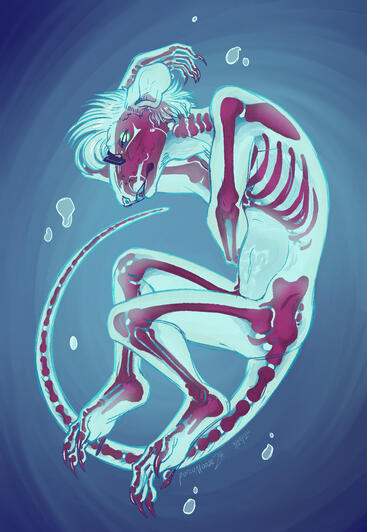 Day 1: Preservation/Specimen